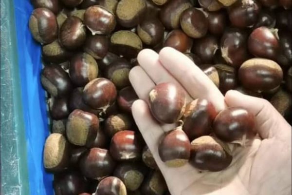 WhatsApp-Image-2024-02-06-at-15.05.24