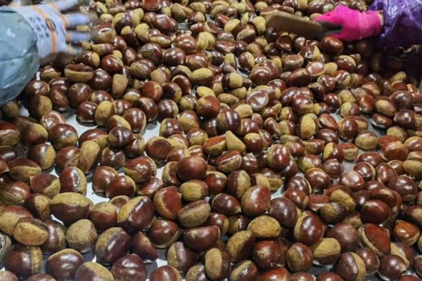 WhatsApp-Image-2024-02-06-at-15.07.24