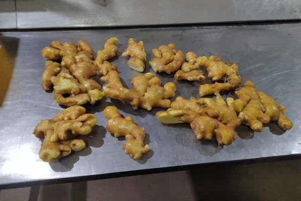 WhatsApp-Image-2024-02-06-at-15.10.20