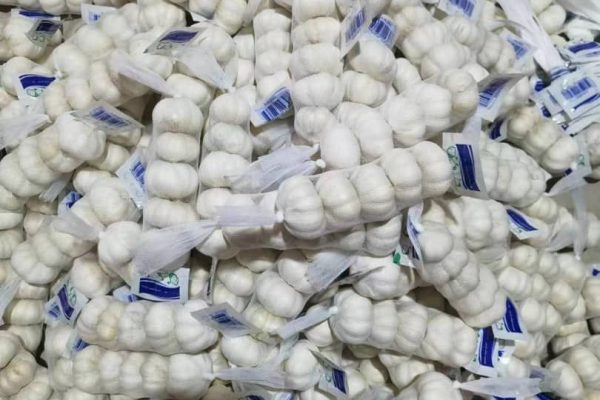 WhatsApp-Image-2024-02-06-at-15.57.51-2