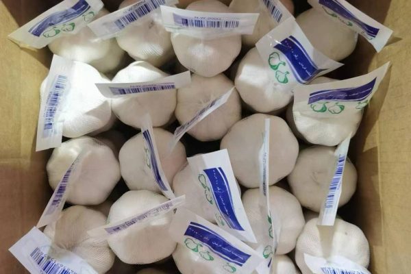 WhatsApp-Image-2024-02-06-at-15.57.53