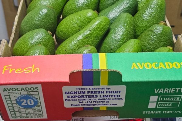 WhatsApp-Image-2024-03-27-at-3.42.40-PM