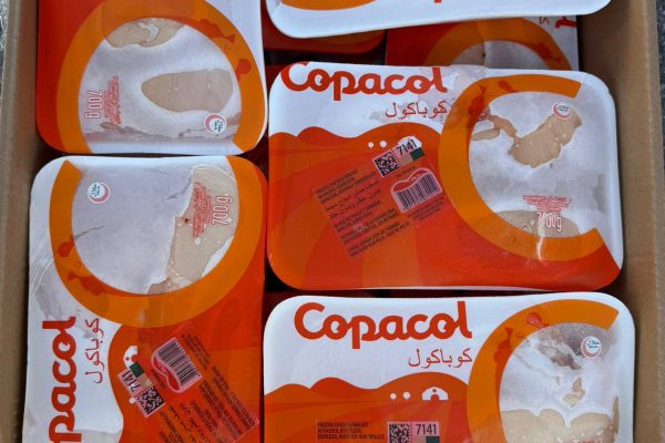 WhatsApp-Image-2024-11-13-at-22.46.21