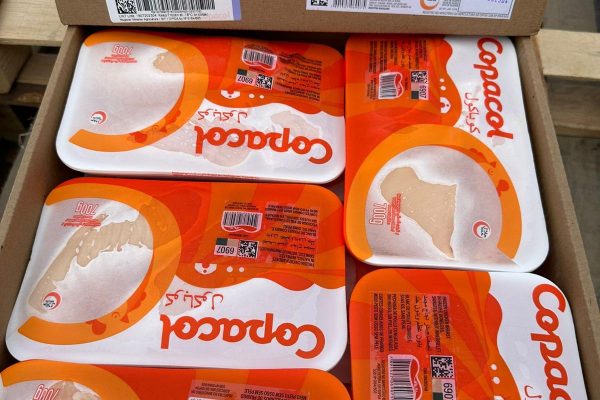 WhatsApp-Image-2024-11-13-at-22.49.08-1