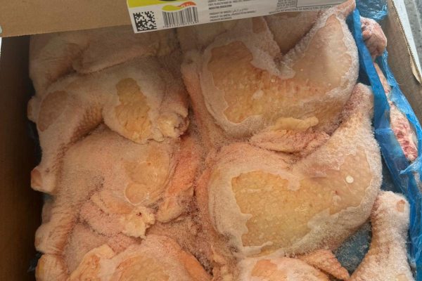 WhatsApp-Image-2024-11-13-at-22.49.09-4