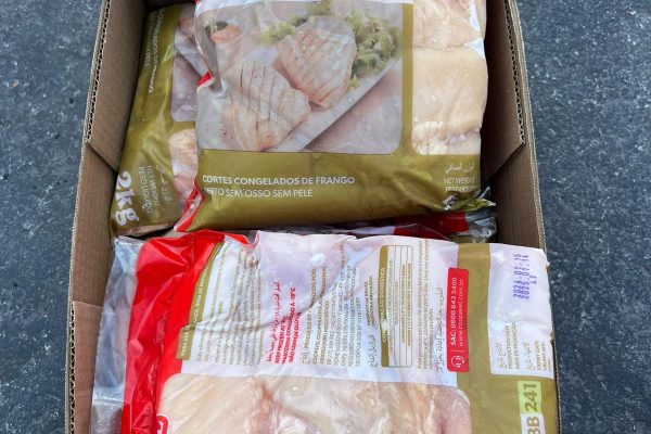 WhatsApp-Image-2024-11-13-at-22.51.08