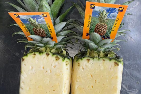 WhatsApp-Image-2024-11-18-at-11.00.07