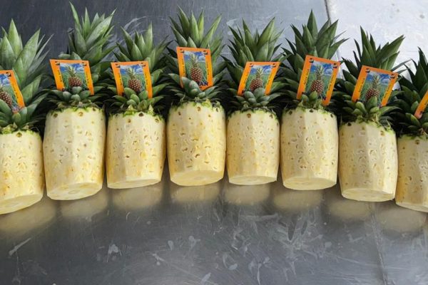 WhatsApp-Image-2024-11-18-at-11.00.09